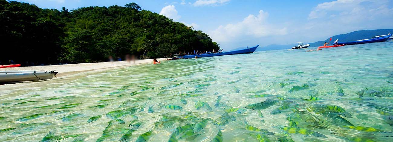 جزیره فی فی تایلند