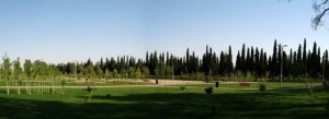 باغ ملی شیراز